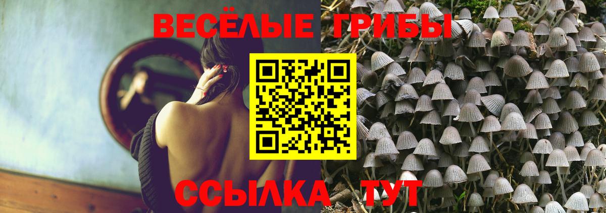 Галлюциногенные грибы мухоморы Новоалександровск