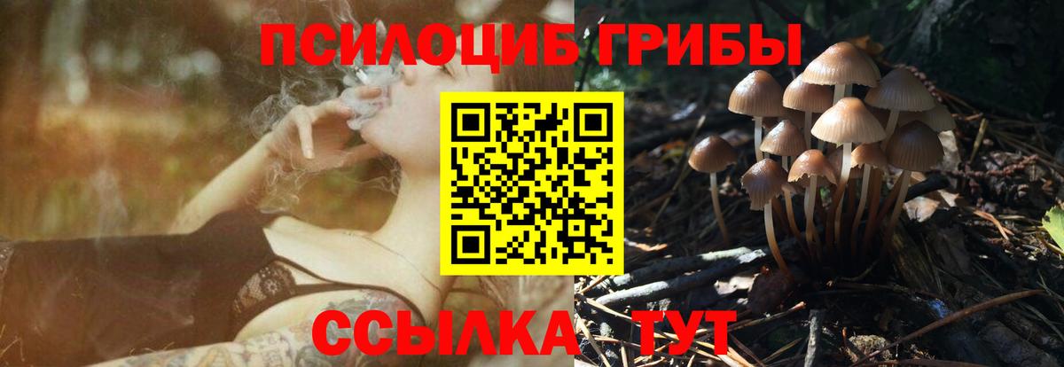 Новоалександровск  Псилоцибиновые грибы MAGIC MUSHROOMS  Вход с VPN 